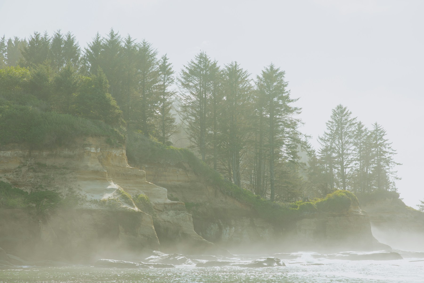 Evergreen forest and mountains along the Pacific Northwest coast